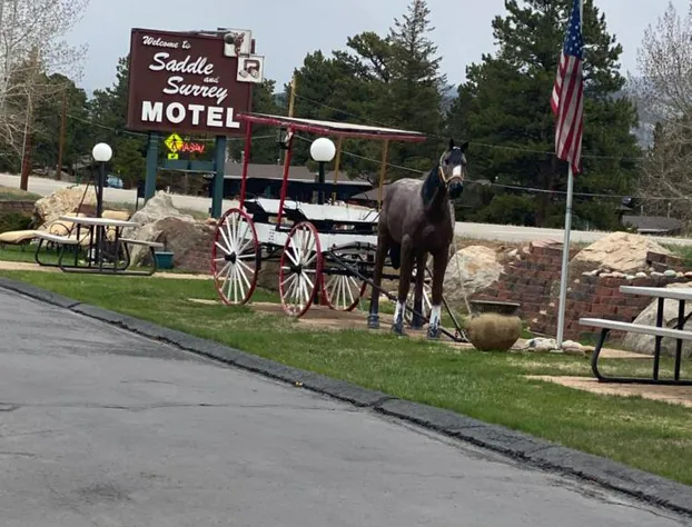 Saddle & Surrey Motel hotel detail image 1