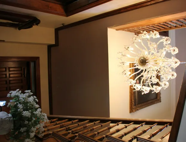 Hines Mansion hotel detail image 3