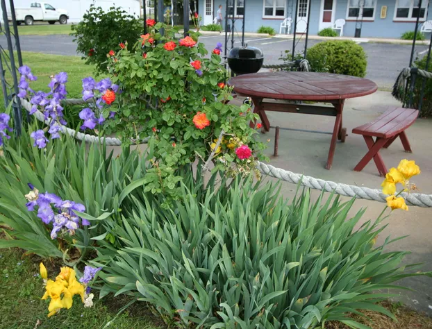 Mariners Motel hotel detail image 3