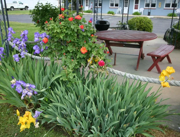 Mariners Motel hotel detail image 3