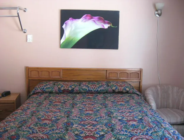 Pal's Motel hotel detail image 1