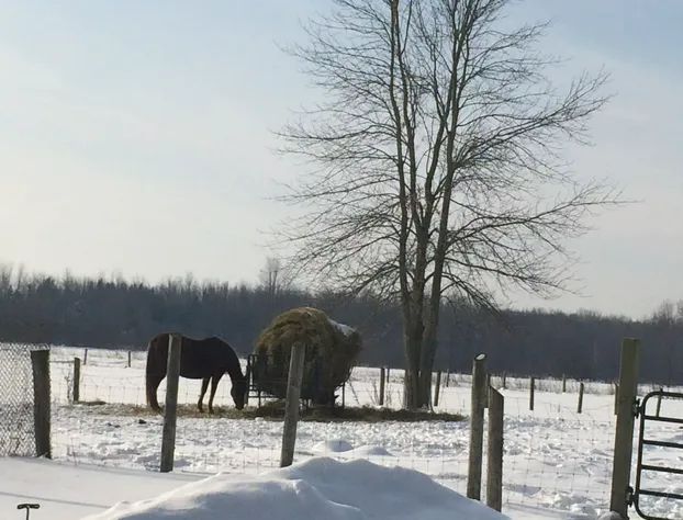 CastleView Inn by Elevate Rooms hotel detail image 4