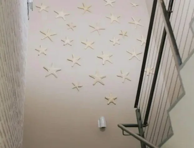 Tides Inn Hotel hotel detail image 4