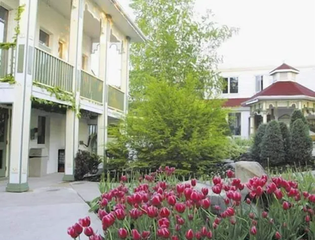 Fern Resort hotel detail image 1