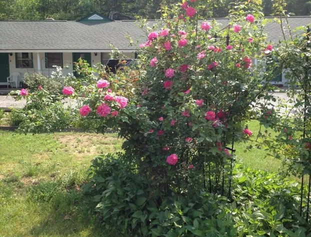 McGregor Inn Motel hotel detail image 2