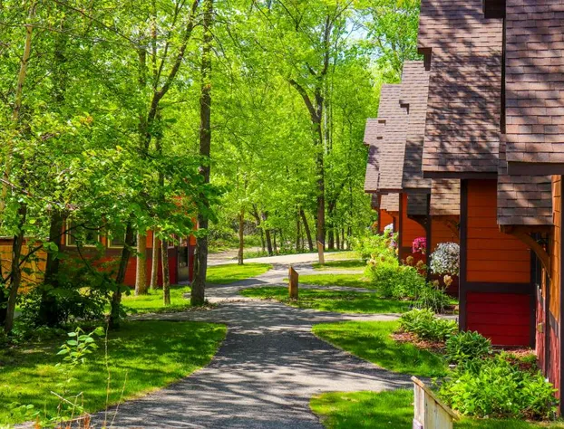 Good Ol' Days Resort hotel detail image 2