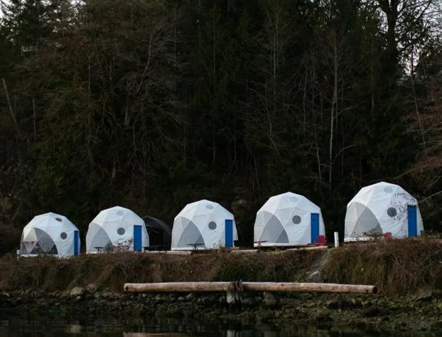 Backeddy Resort and Marina hotel detail image 4