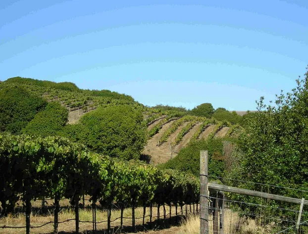 Point Reyes Vineyard Inn hotel detail image 4