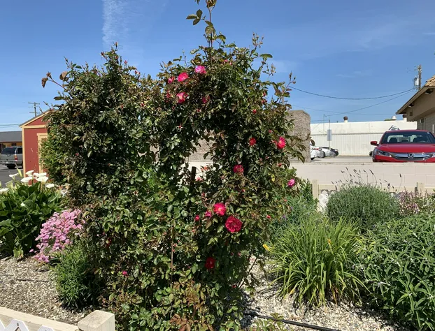 Wagon Wheel Motel hotel detail image 3