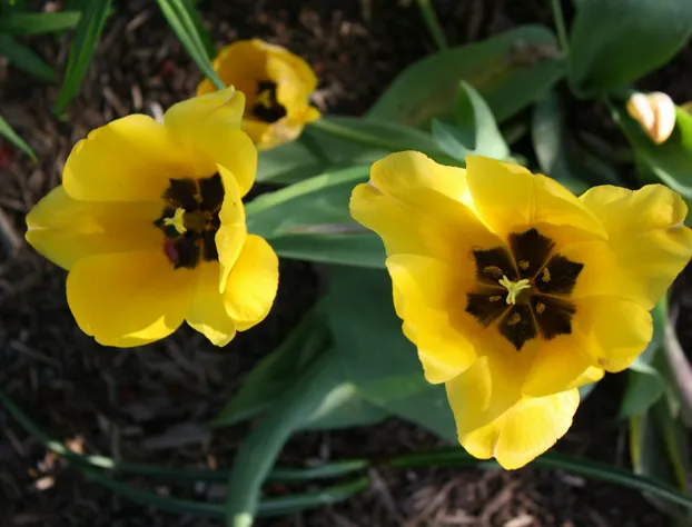 Braeside Lodging hotel detail image 1