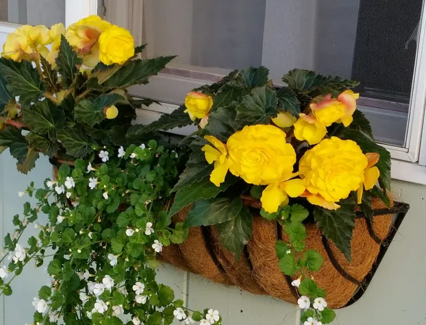 Braeside Lodging hotel detail image 3