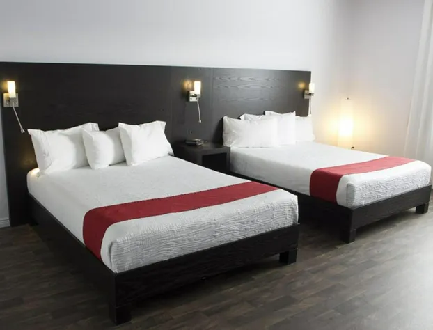 Hotel 1212 hotel detail image 4