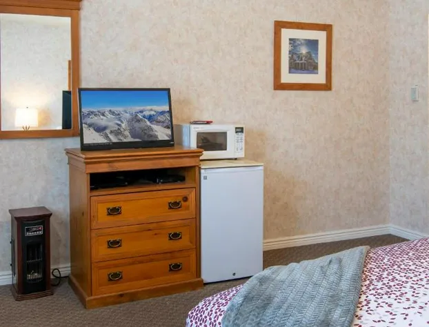 Swiss Alps Inn hotel detail image 1