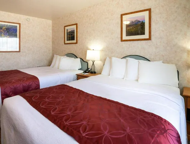 Swiss Alps Inn hotel detail image 3