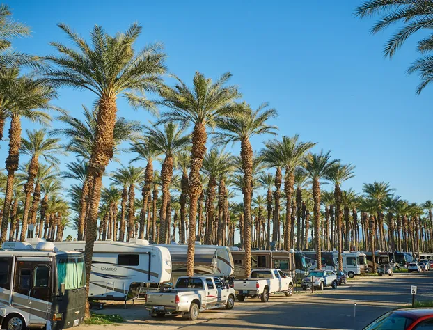 Palm Springs RV Resort hotel detail image 3