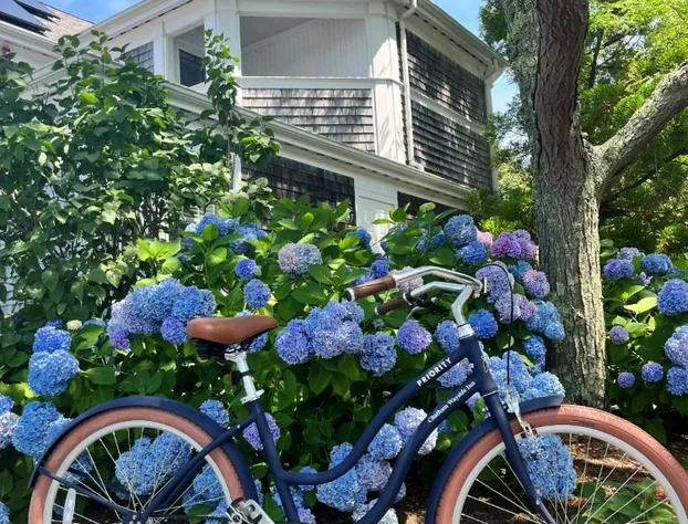 Greyfinch Chatham Inn hotel detail image 3