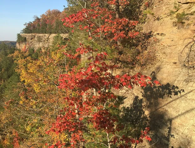 Black Bear Lodge Motel hotel detail image 2