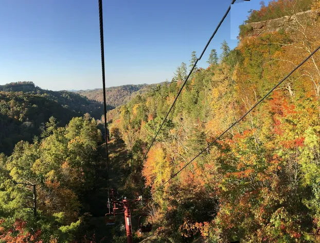 Black Bear Lodge Motel hotel detail image 3