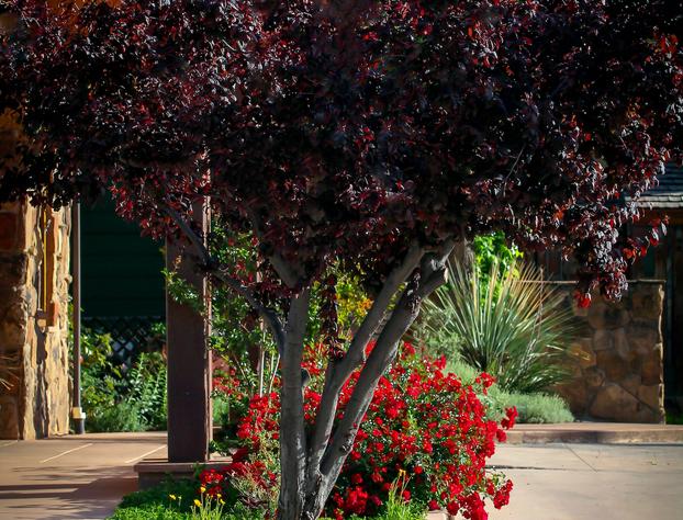 Flanigan's Resort and Spa hotel detail image 1
