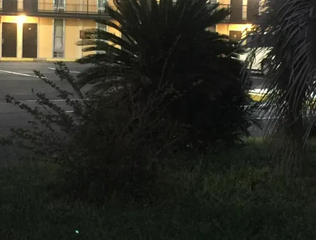 Hope Inn hotel detail image 1