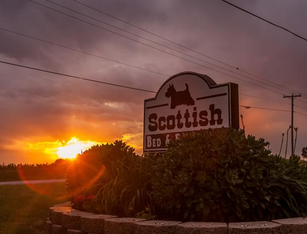Scottish Bed & Breakfast hotel detail image 4