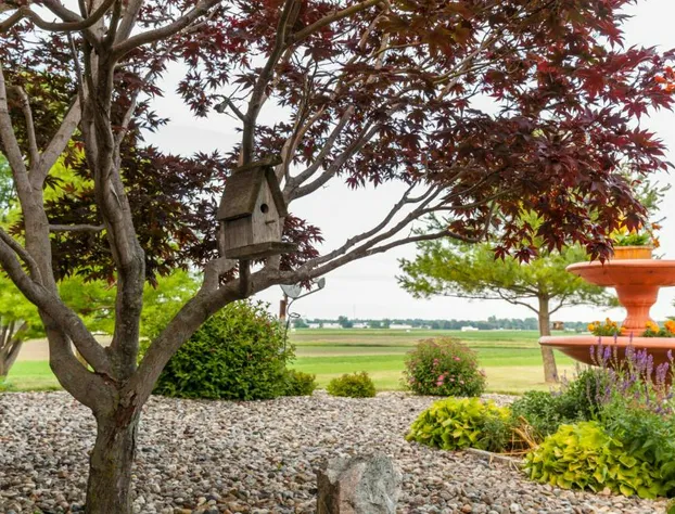 Scottish Bed & Breakfast hotel detail image 4