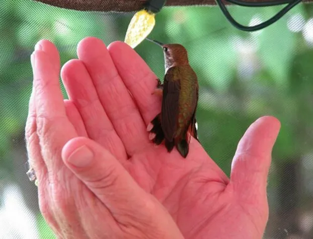 Grateful Bed & Breakfast hotel detail image 3