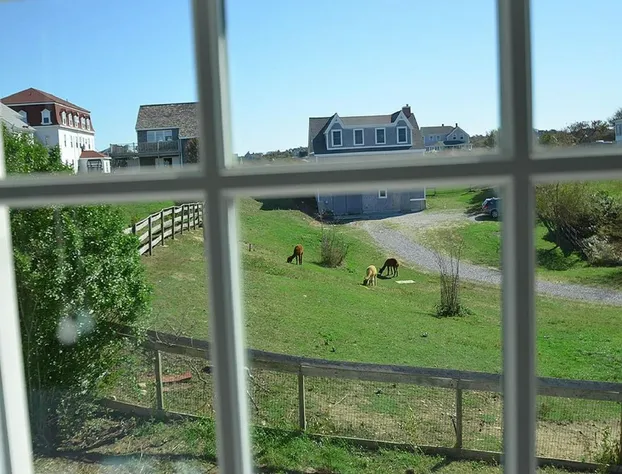 The Inn at Spring House hotel detail image 3