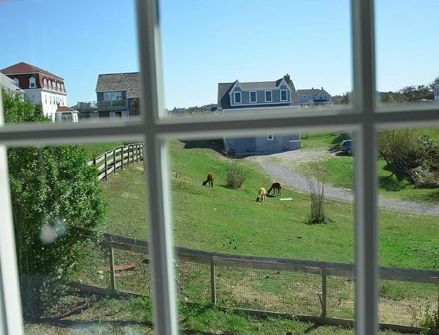 The Inn at Spring House hotel detail image 3