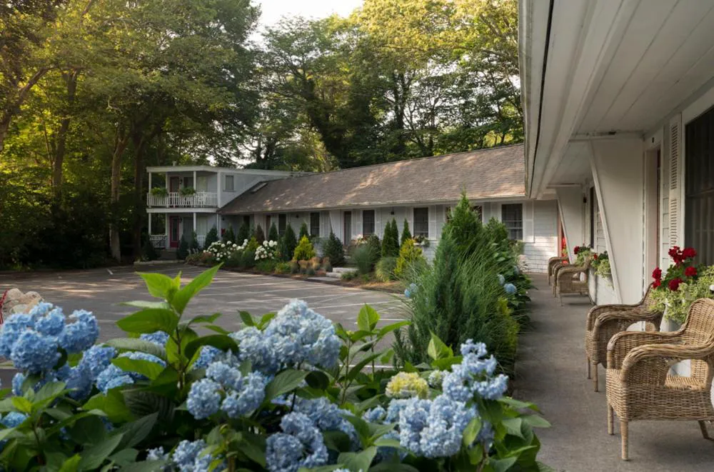 Treehouse Lodge hotel hero