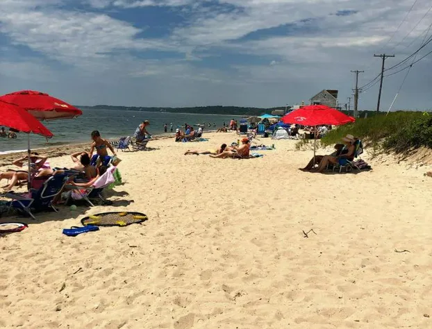 Treehouse Lodge hotel detail image 4