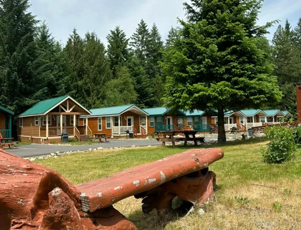 Packwood Lodge hotel detail image 4