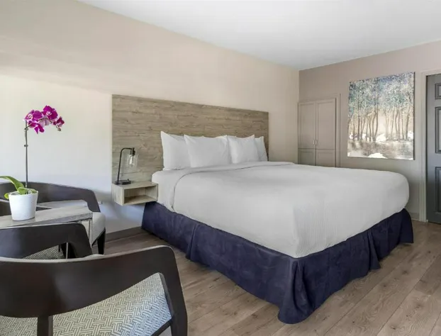 Danny’s Hotel Suites, SureStay Collection by Best Western hotel detail image 4