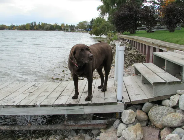 Grand Lake Resort hotel detail image 4