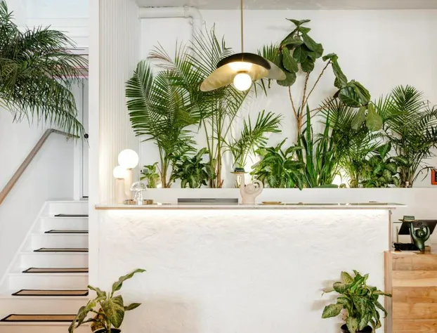 American Beech Hotel hotel detail image 4