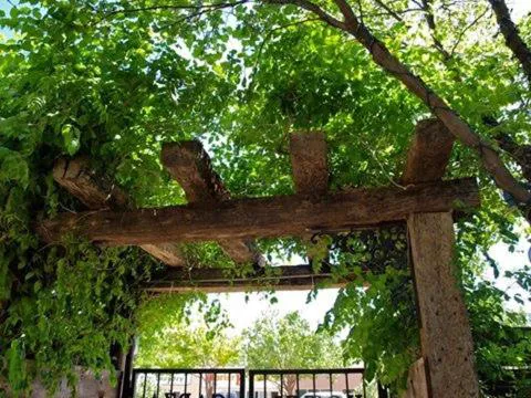 Hotel Garza hotel detail image 2