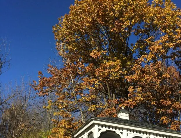 Harwood Hill Motel hotel detail image 4