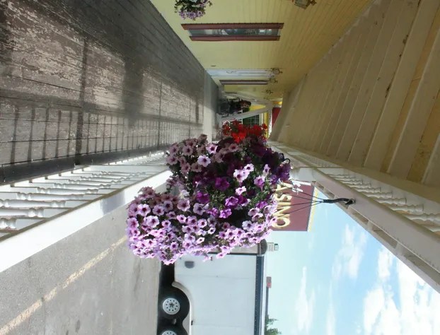 Four Jacks Hotel and Casino hotel detail image 1