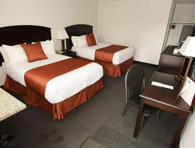 El Lobo Motel hotel detail image 3