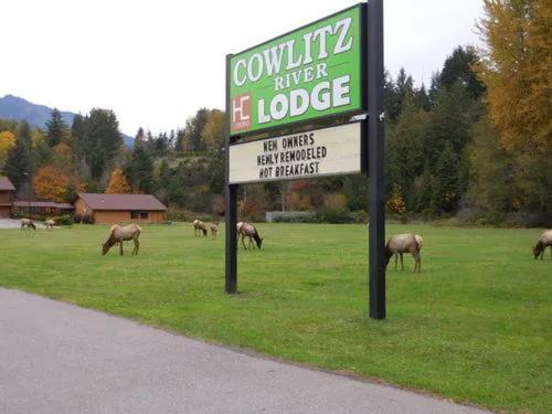 Cowlitz River Lodge hotel detail image 2