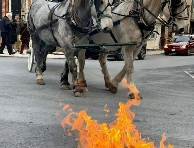 The Dolon House Bed and Breakfast hotel detail image 2
