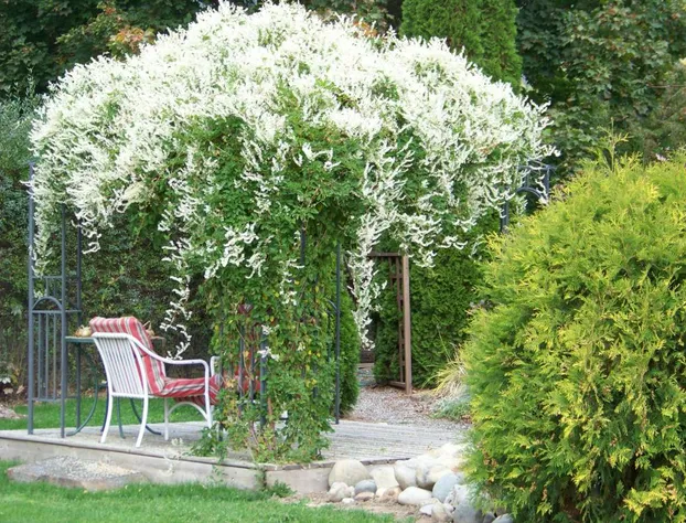 Bavarian Orchard Motel hotel detail image 3