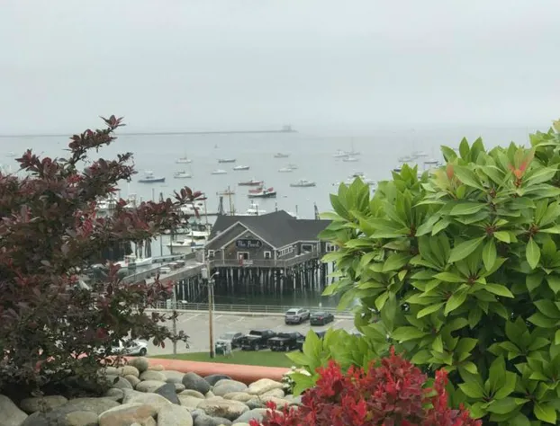 250 Main Hotel hotel detail image 2