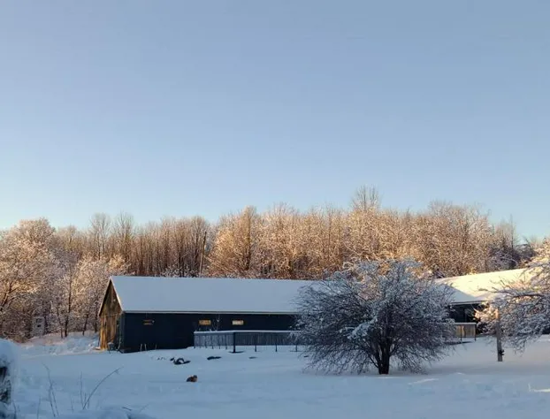 Beatnik Hôtel hotel detail image 1