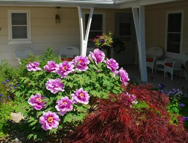 Peninsula Park-View Resort hotel detail image 1