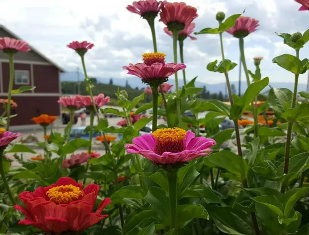 Hillcrest Farm Market B&B hotel detail image 2