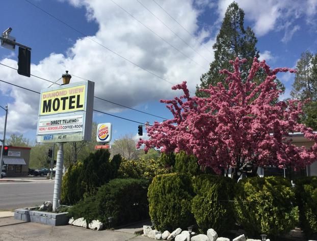 Diamond View Motel hotel detail image 3