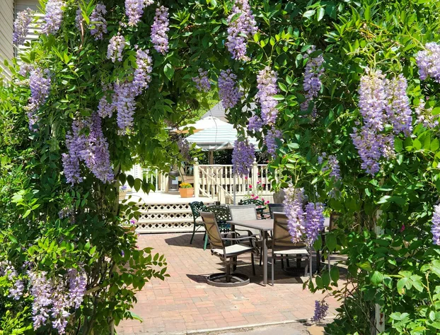 The Lamplighter Bed & Breakfast of Ludington hotel detail image 1