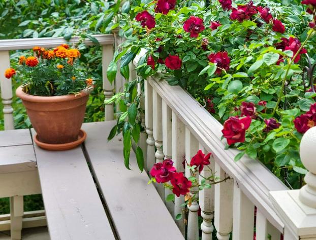 The Lamplighter Bed & Breakfast of Ludington hotel detail image 4