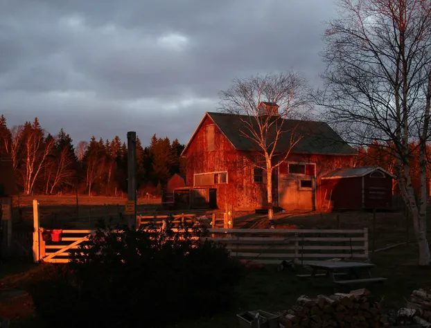 Seaweed and Sod Farm Bed & Breakfast hotel detail image 3